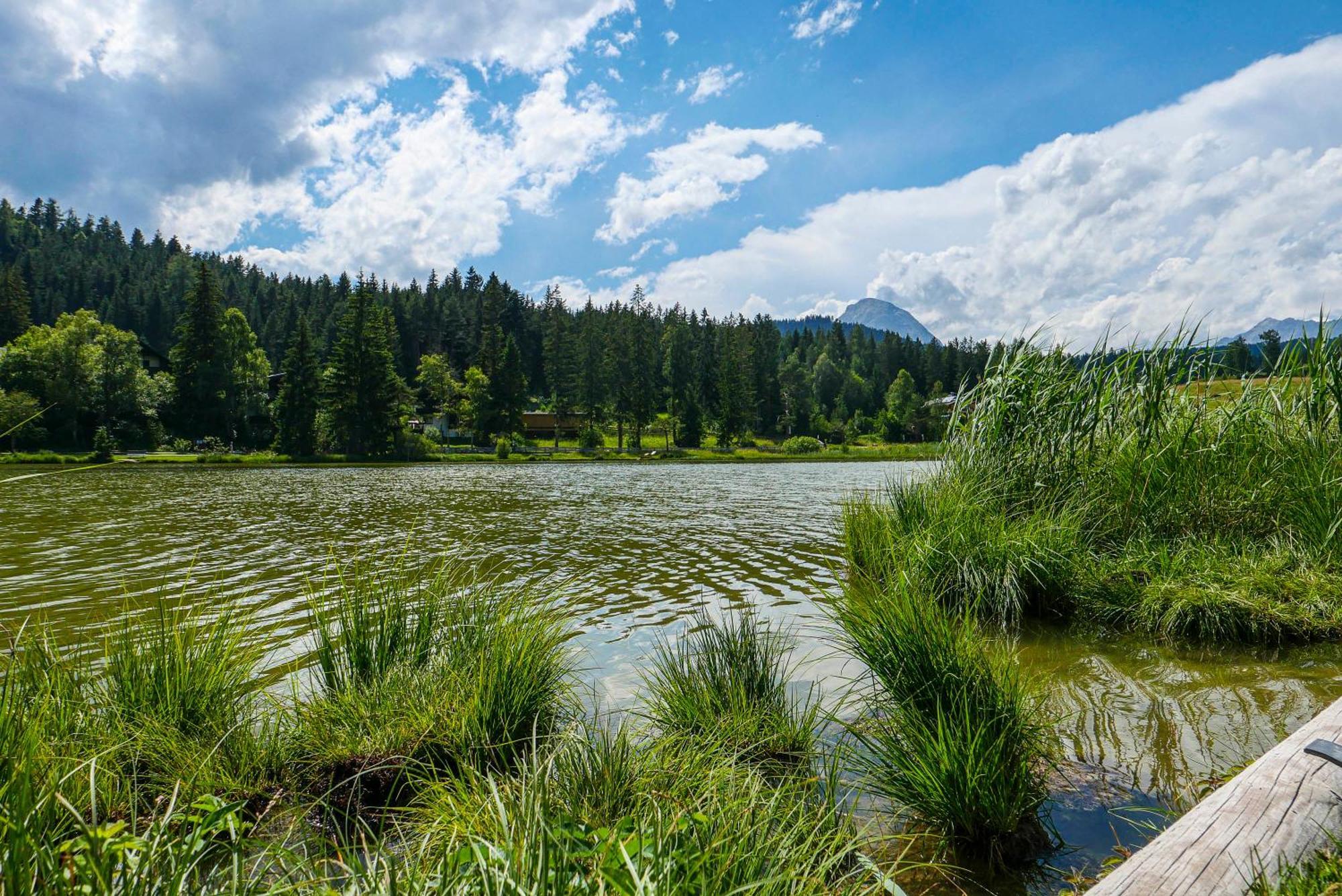 Landhaus Haid Seefeld in Tirol Exterior photo